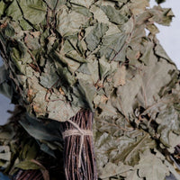 Handgemachte Sauna Besen - Eiche, Birke und Vogelbeere - The Baltic Shop