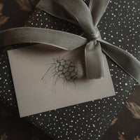 Kleine flache Karte mit Tannenzapfen - The Baltic Shop