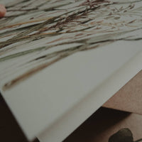 Meadow Plants - Klappkarte - The Baltic Shop