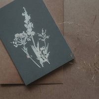 Wiesengräser, Kleiner Flachkarton - The Baltic Shop