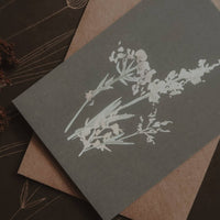 Wiesengräser, Kleiner Flachkarton - The Baltic Shop