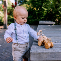 Ziehpferd in Blau aus Birkenholz - The Baltic Shop