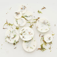 Bio Duftwachs mit natürlichen Moosduft - The Baltic Shop