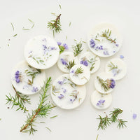 Bio Duftwachs mit Wacholder & Limonium Duft - The Baltic Shop