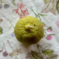 Handgegossene Kerze "Zitrone und Limette" - The Baltic Shop