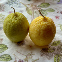 Handgegossene Kerze "Zitrone und Limette" - The Baltic Shop