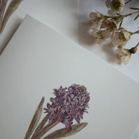 Handgemalte Faltkarte- Blaue Hyazinthe - The Baltic Shop