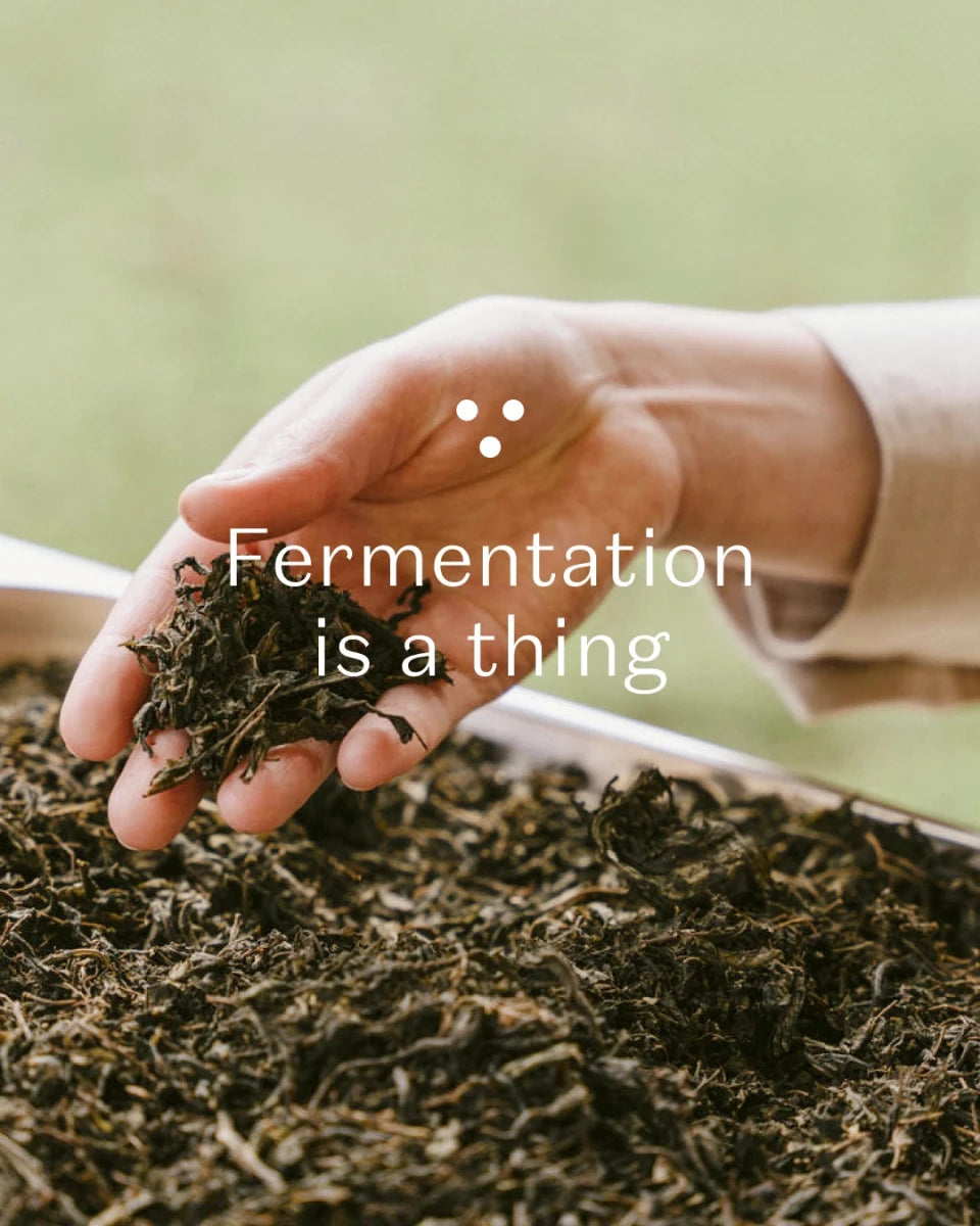 Bio Kräutertee - NORDIC BLACK - The Baltic Shop