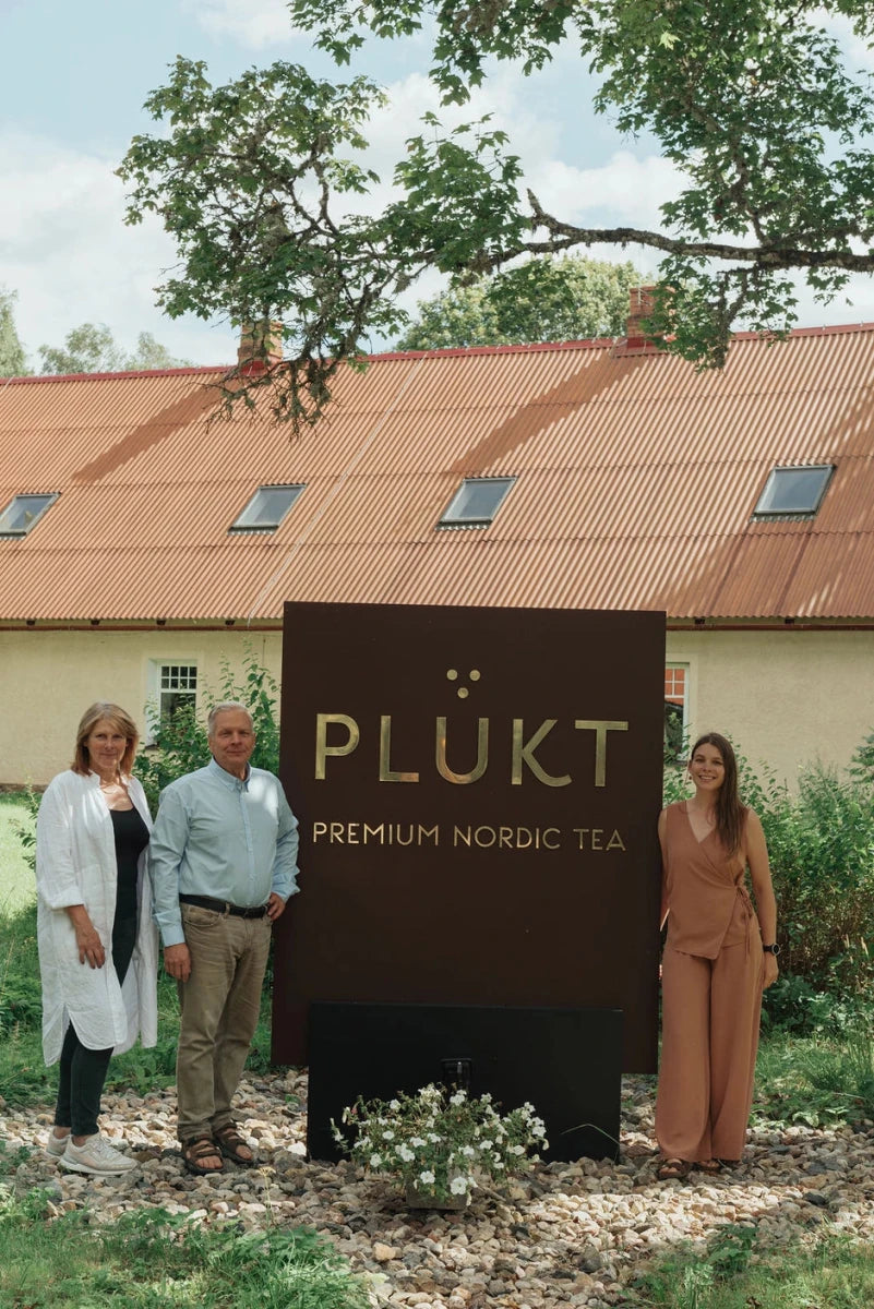 Bio Kräuterteemischung aus Waldkräutern - The Baltic Shop