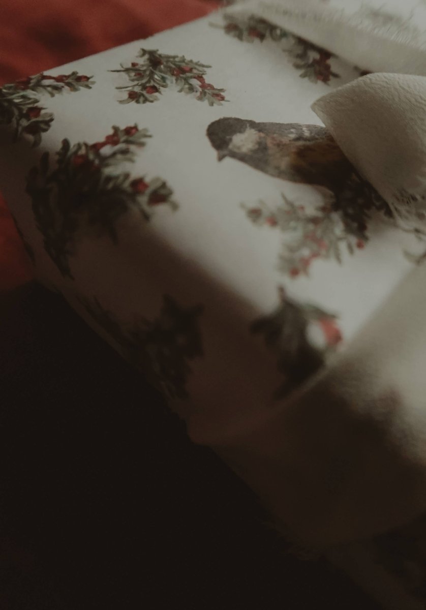 Geschenkpapier, Motiv: Tit Bird, Weiß, 3 Stück - The Baltic Shop