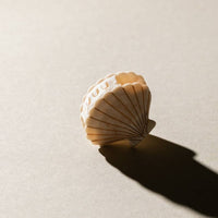 Haarklammer -  Pearla Sand - The Baltic Shop