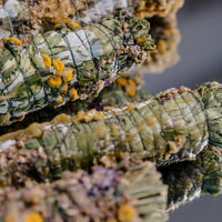 Handgemachte Räucherbündel aus Lettland - The Baltic Shop