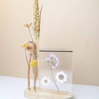 Kleiner Trockenblumenhalter mit Rahmen - The Baltic Shop