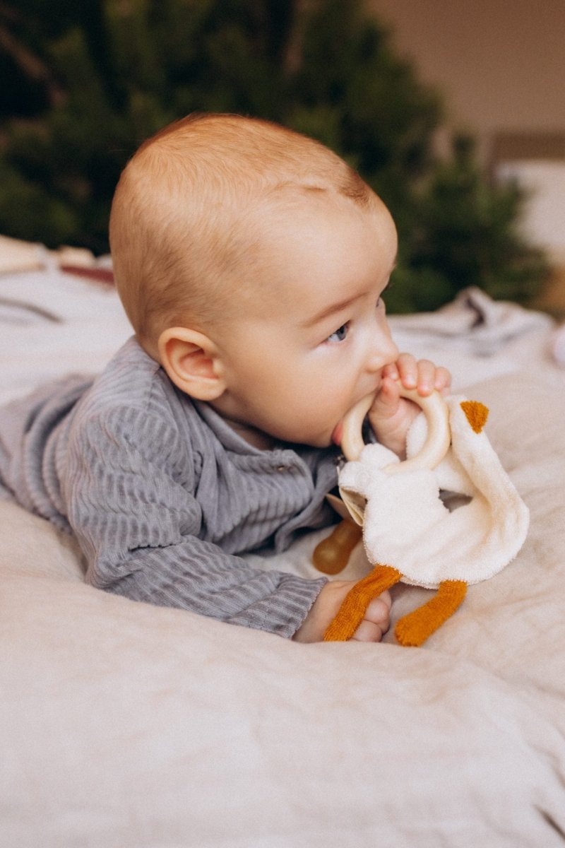 Knistergans aus Bio Baumwolle - The Baltic Shop