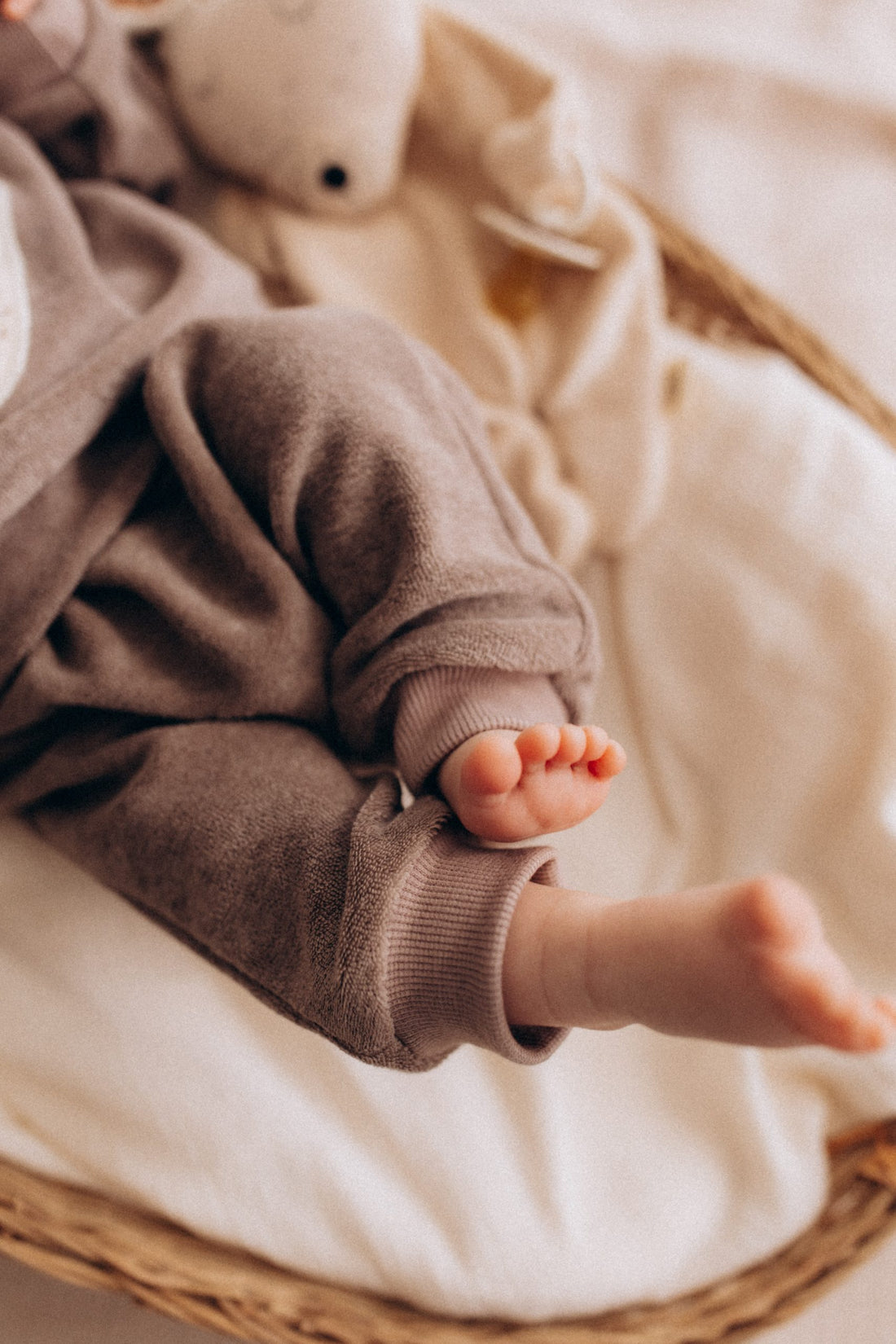 Terry Hose aus Bio Baumwolle in 2 Farben