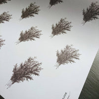 Set mit 3 Stück weißem Geschenkpapier - Fichtenzweigen. - The Baltic Shop