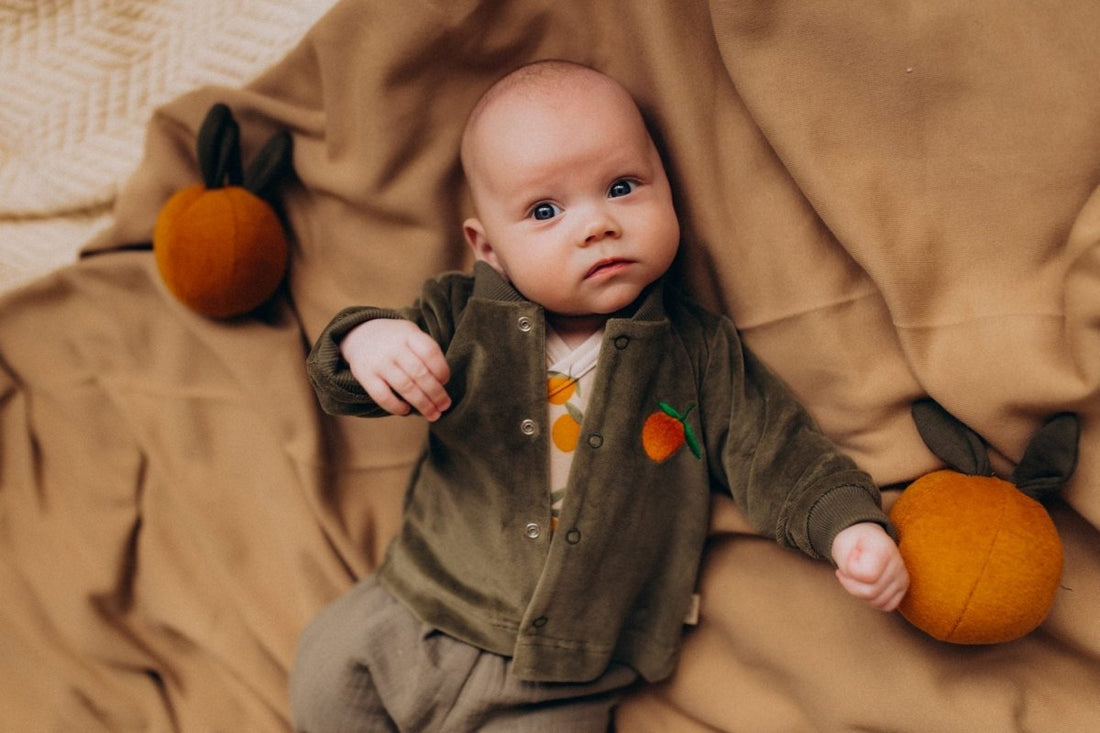 Veloursjacke aus Bio Baumwolle in 3 farben - The Baltic Shop