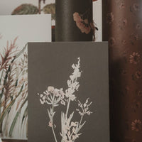 Wiesengräser, Kleiner Flachkarton - The Baltic Shop