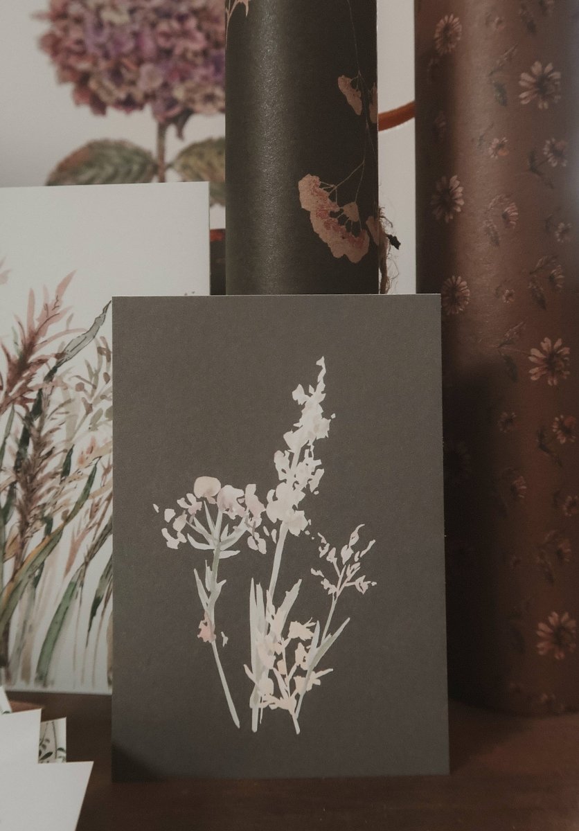 Wiesengräser, Kleiner Flachkarton - The Baltic Shop