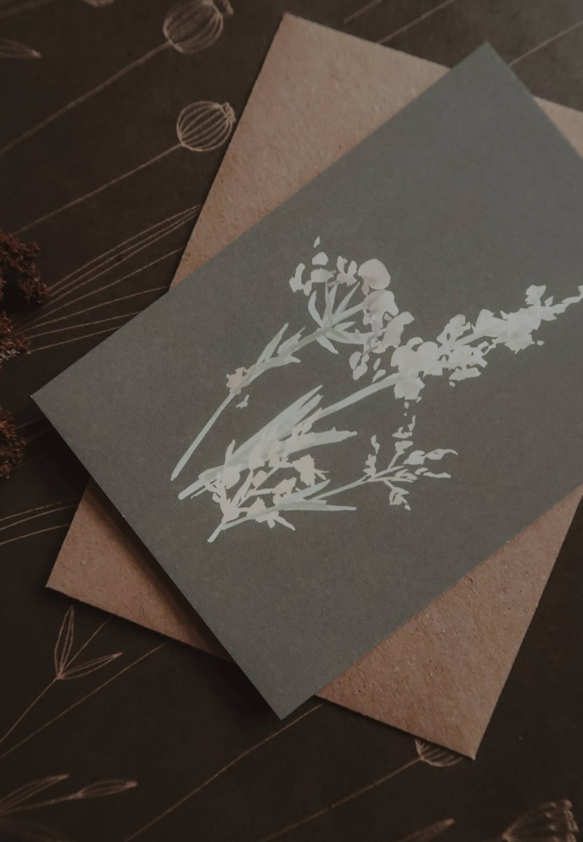 Wiesengräser, Kleiner Flachkarton - The Baltic Shop