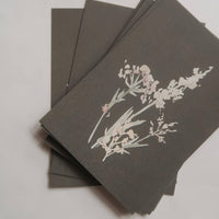 Wiesengräser, Kleiner Flachkarton - The Baltic Shop