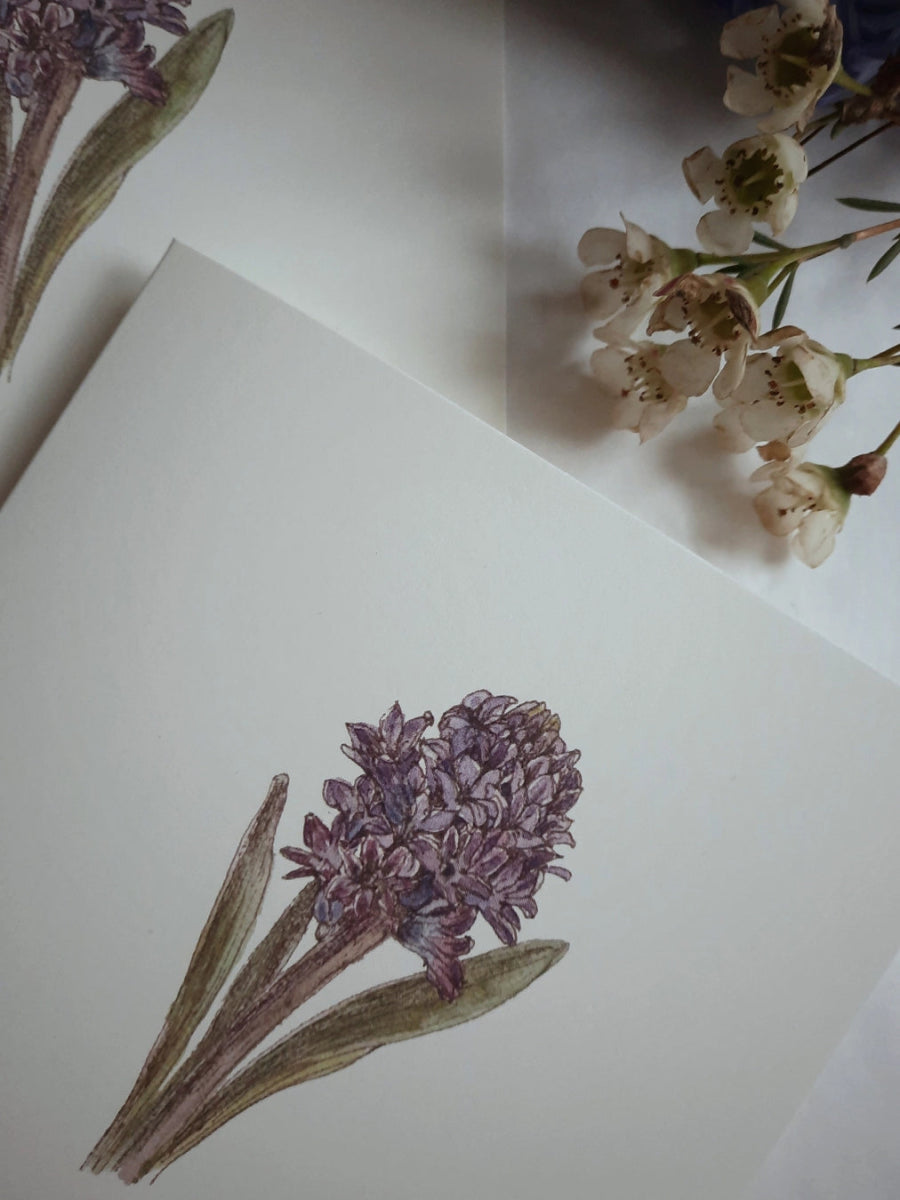 Handgemalte Faltkarte- Blaue Hyazinthe - The Baltic Shop