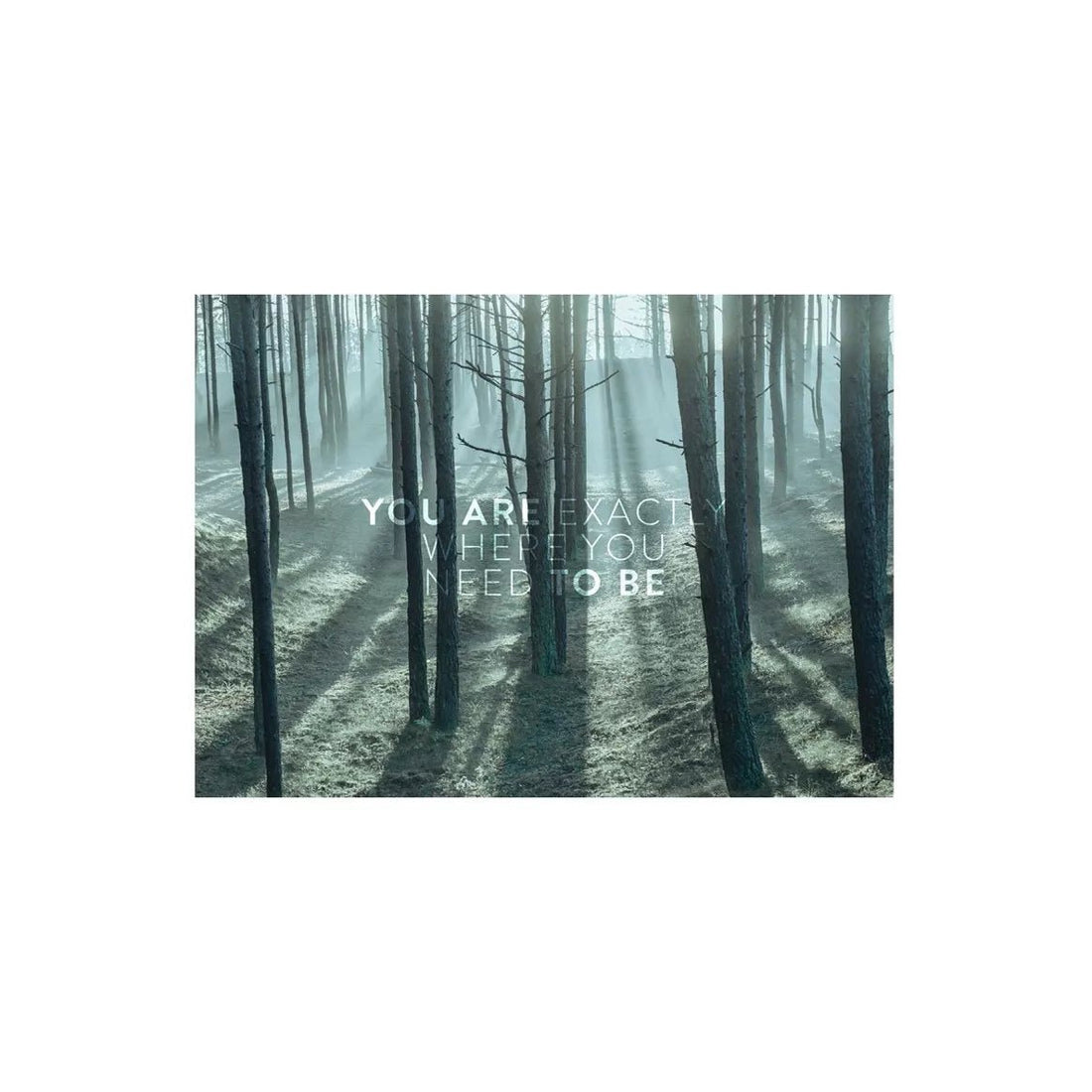 Postkarten - The Baltic Shop